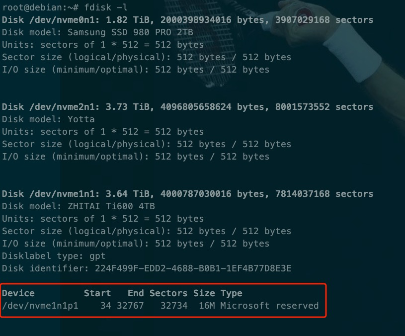 image-20251111164442633